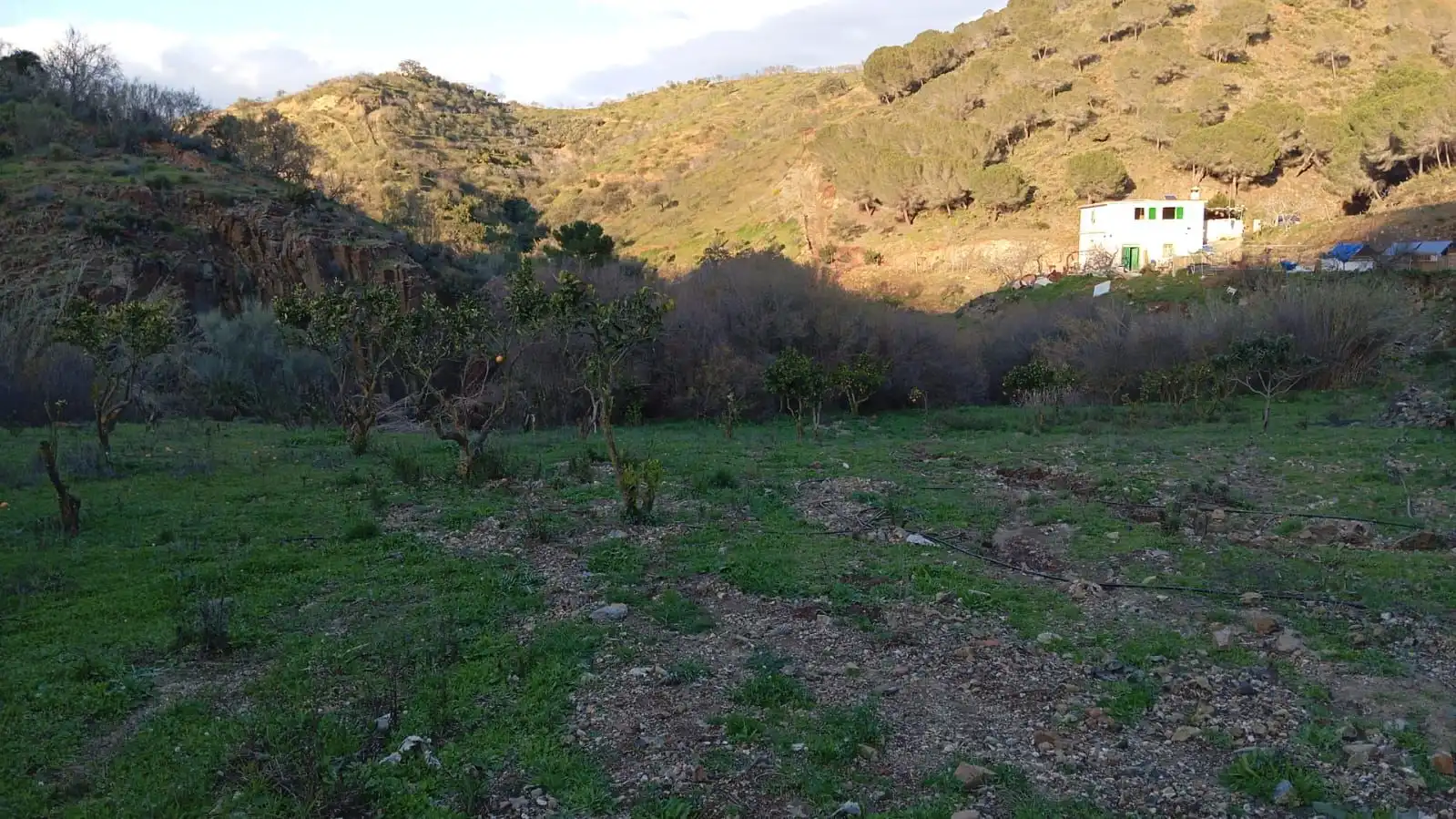 Casa rustica in vendita a Camino Los Guaperos , Paraje Majada Llana,, imagen 9