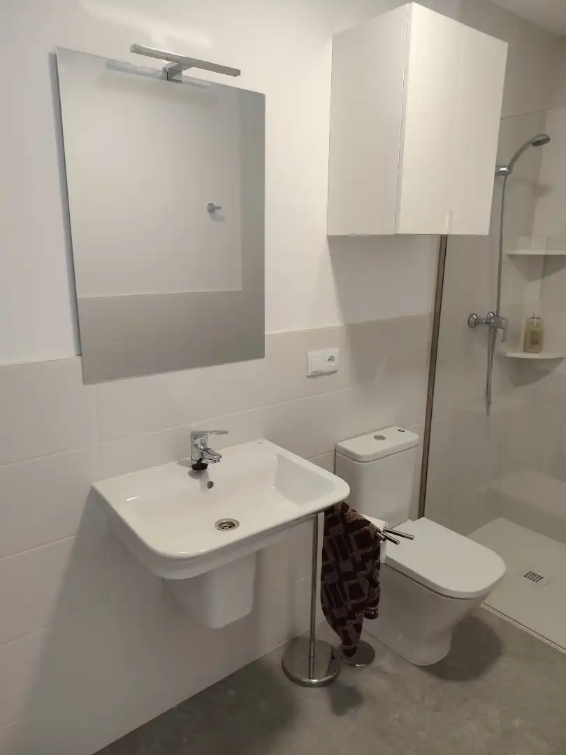 Bathroom of Apartments for rent in Ribeira  with Terrace, Furnished and Oven