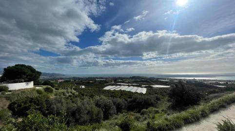 Foto 3 de Finca rústica en venta en Almayate, Vélez-Málaga