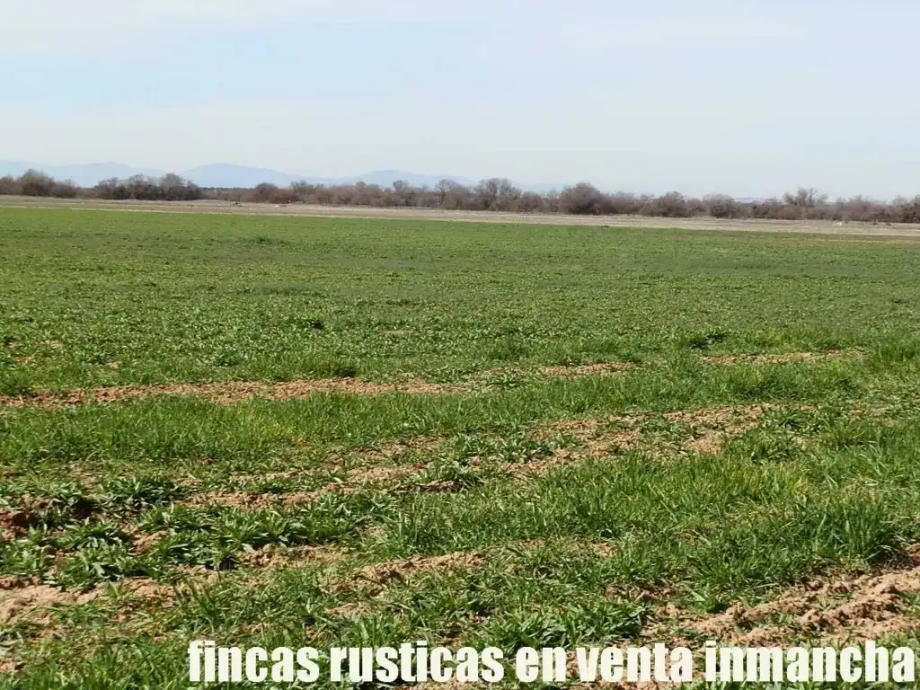 Rural land for sale in Madridejos, imagen 18