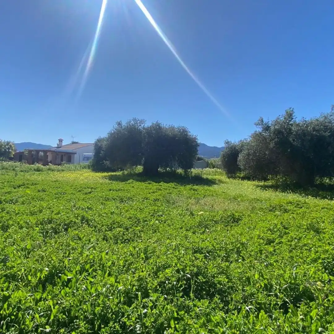 Terreno rustico in vendita a Alquería - Torrealquería, imagen 2