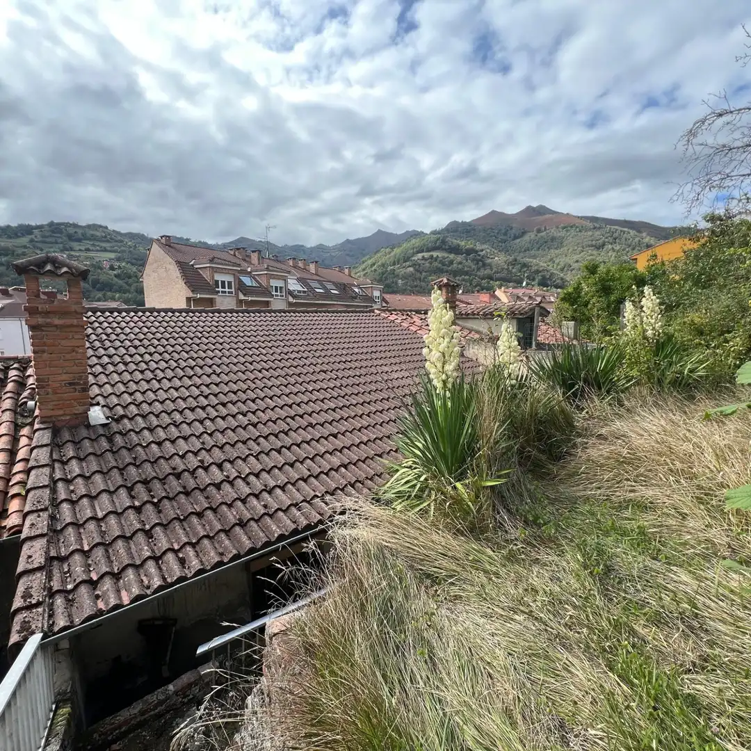 Adossat amb jardí en venda a Pola de Laviana - AV RIOSECO 21, imagen 14