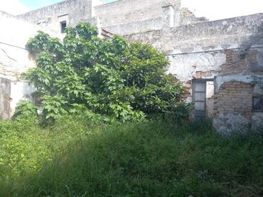 Grundstücke und Bauplätze zum Verkauf in El Carmen