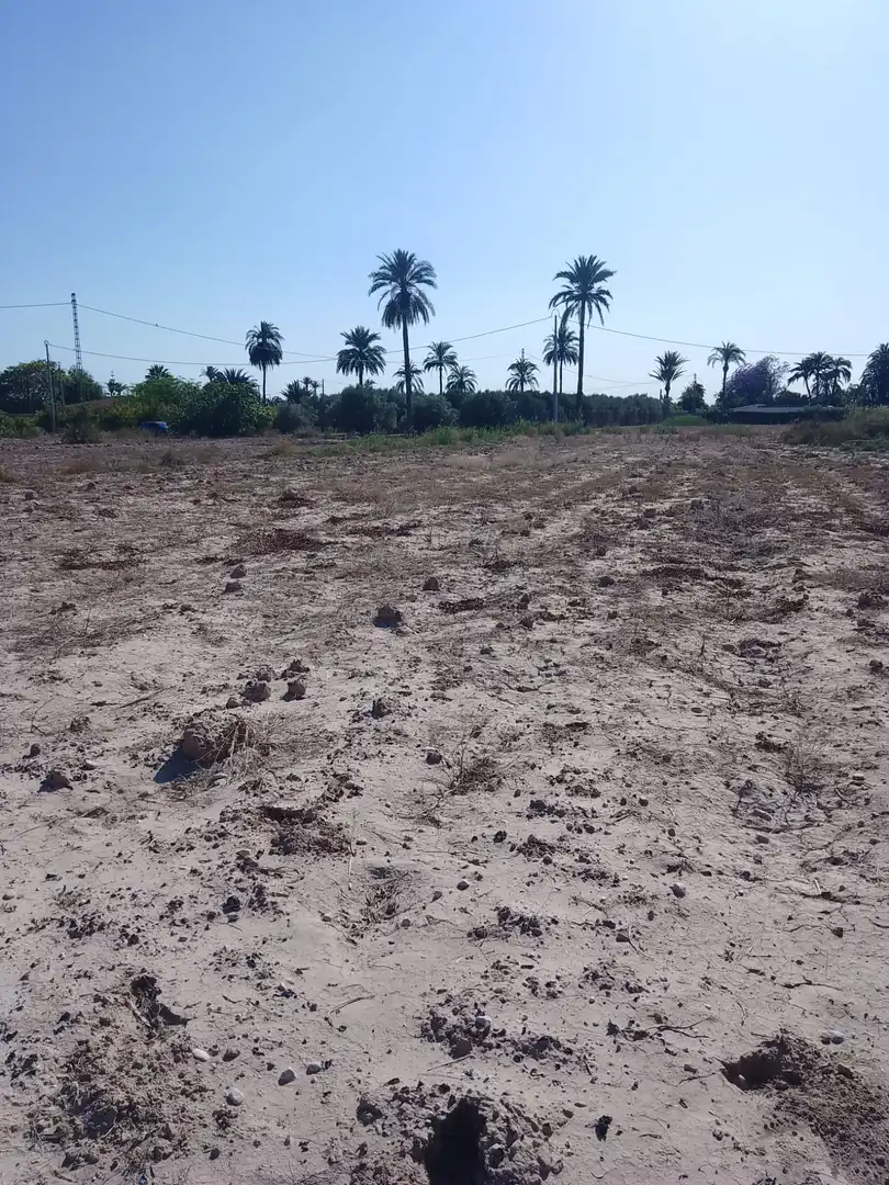 Terreny rústic en venda a Alzabares, imagen 7
