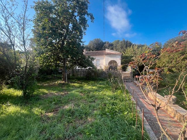 House or chalet to rent in La Floresta