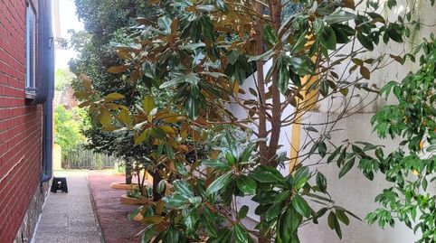 CHALET INDEPENDIENTE, imatge 4