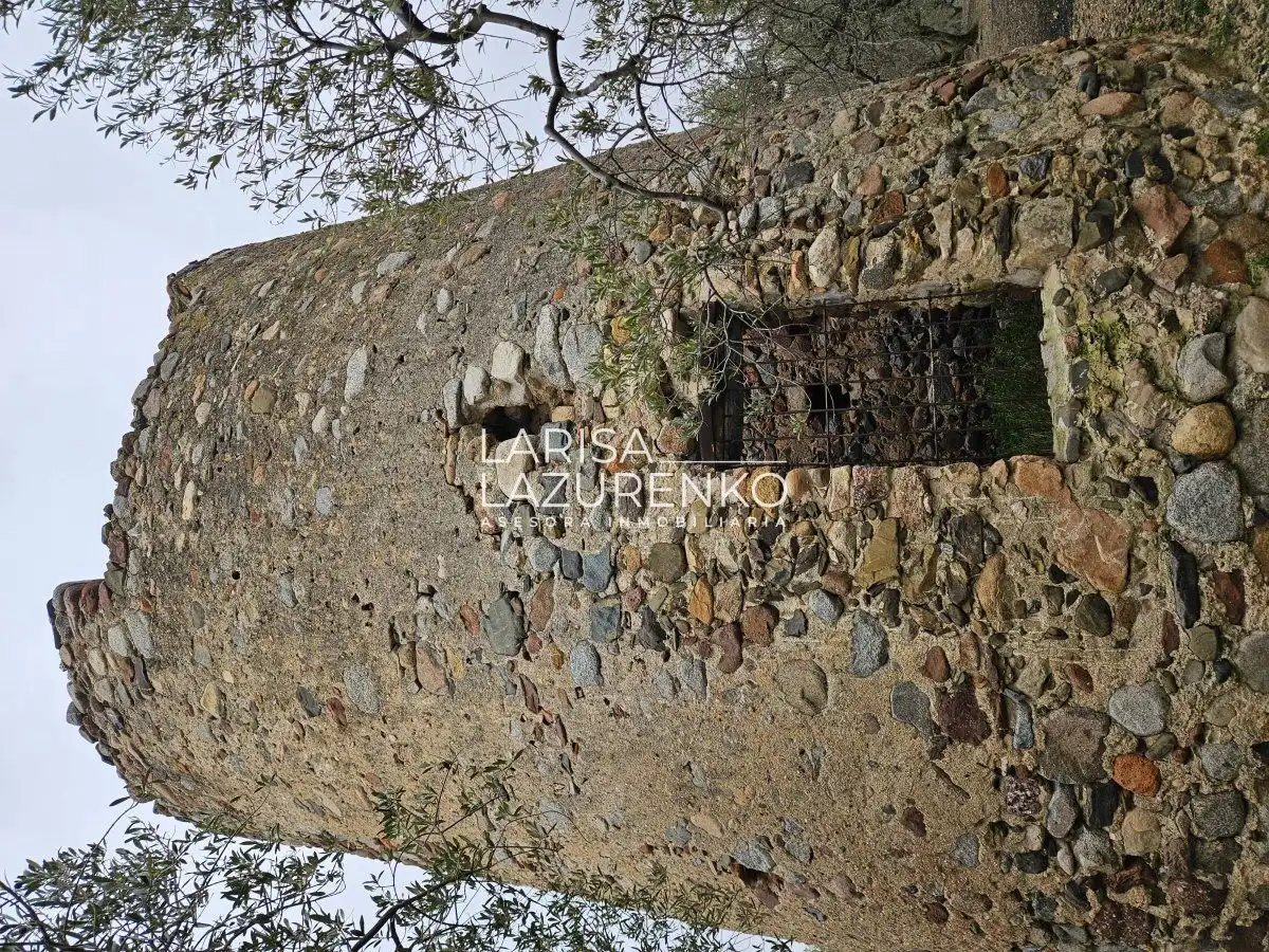 Vista exterior de Finca rústica en venda en Riudoms
