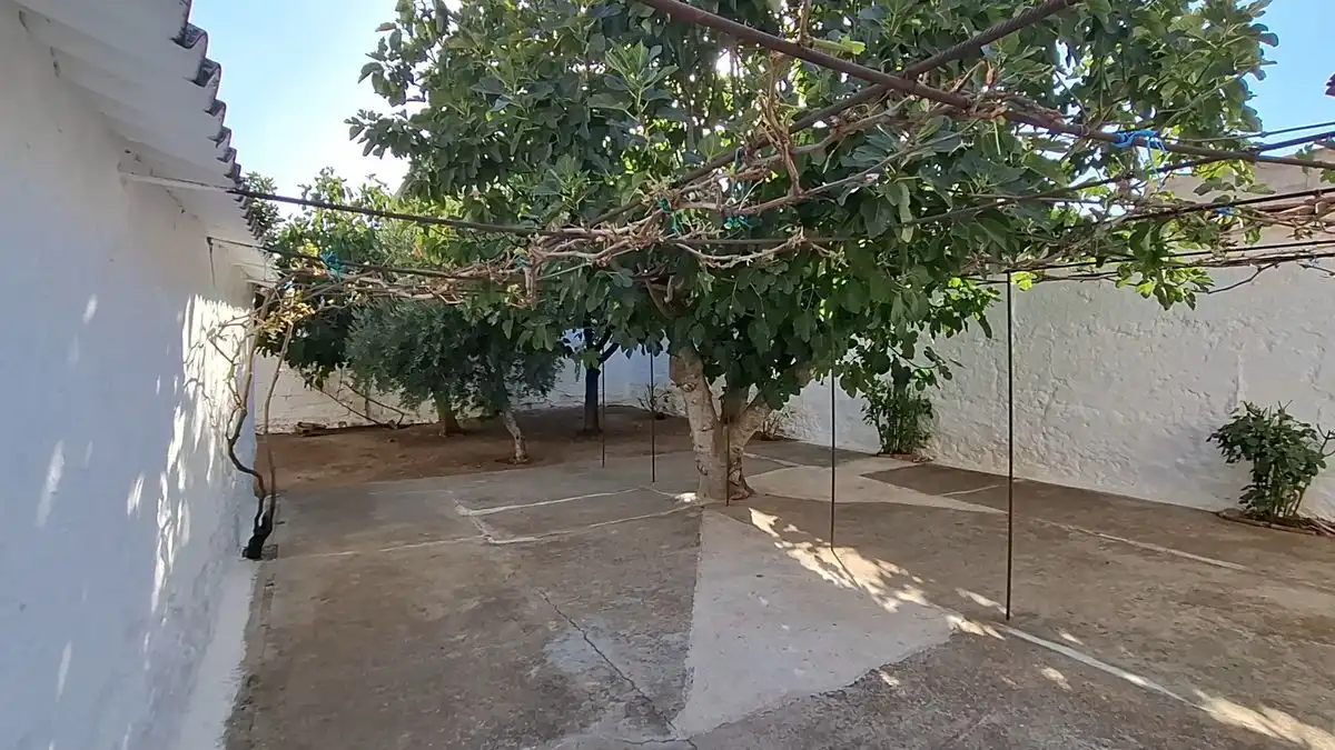 Haus mit Garten zum Verkauf in Avenida Juan Carlos I, imagen 18
