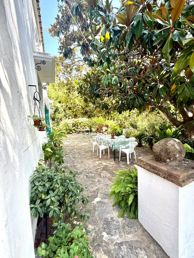 Jardín de Casa o chalet en venta en Algeciras con Jardín privado, Terraza y Piscina