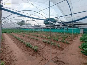 Terreno rustico in vendita a La Jara