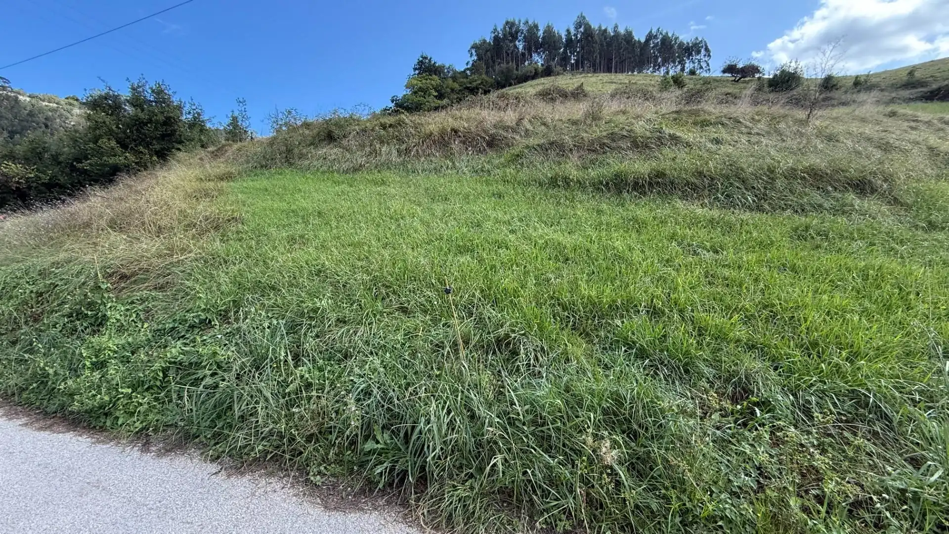 Grundstücke zum Verkauf in Val de San Vicente 