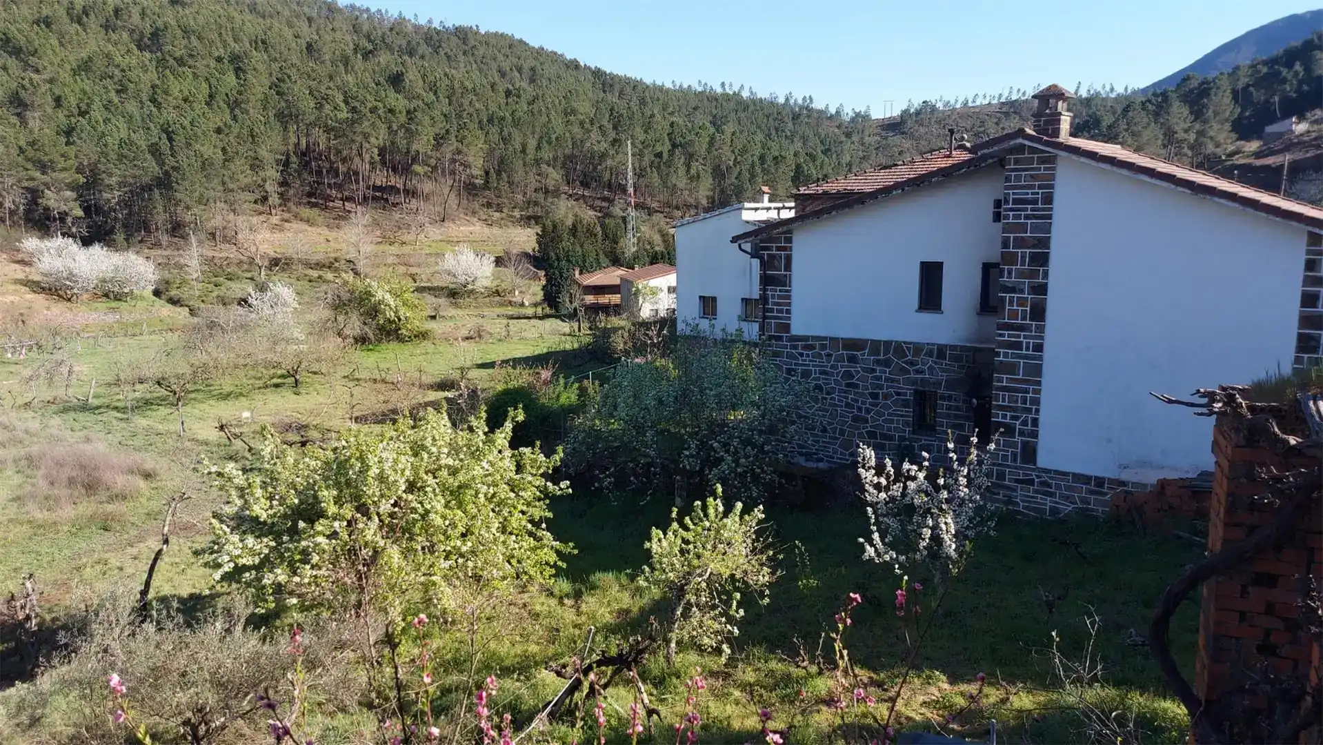 Vista exterior de Piso en venta en Pinofranqueado, Cáceres