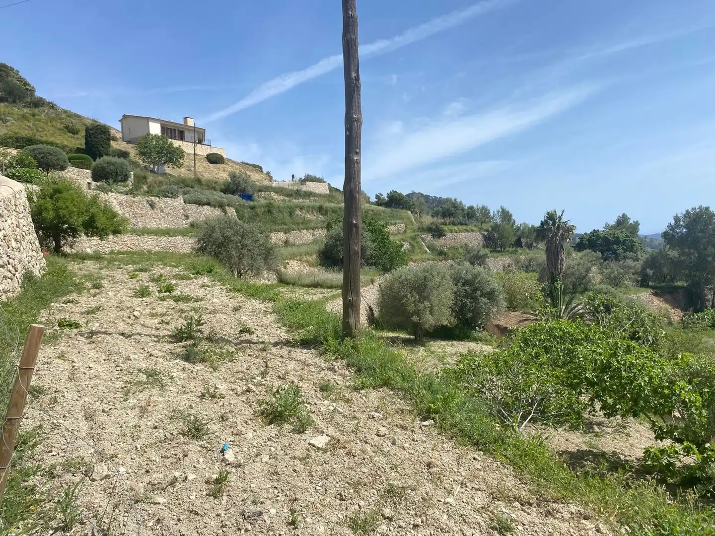 Wohnbaugrundstück zum Verkauf in Puigpunyent, imagen 17
