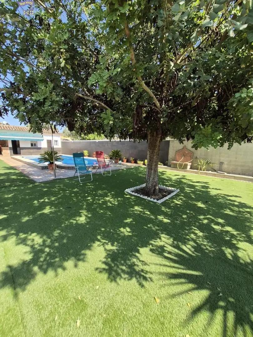 Chalet con piscina en venta en Arcos de la Frontera, imagen 8