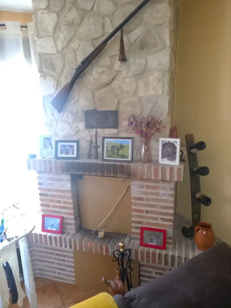 Sala d'estar de Casa o xalet en venda en Quintana del Puente amb Calefacció, Jardí privat i Terrassa