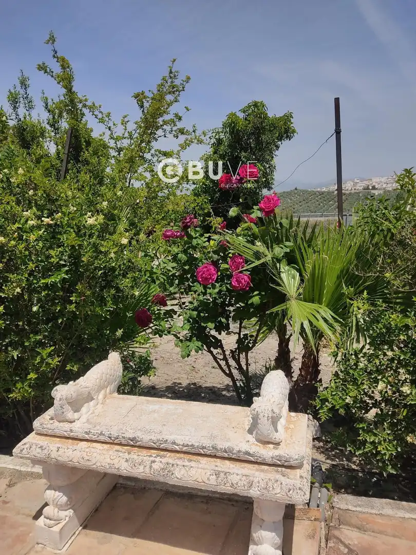 Garden of Houses for sale in Rute  with Terrace, Storage room and Swimming Pool