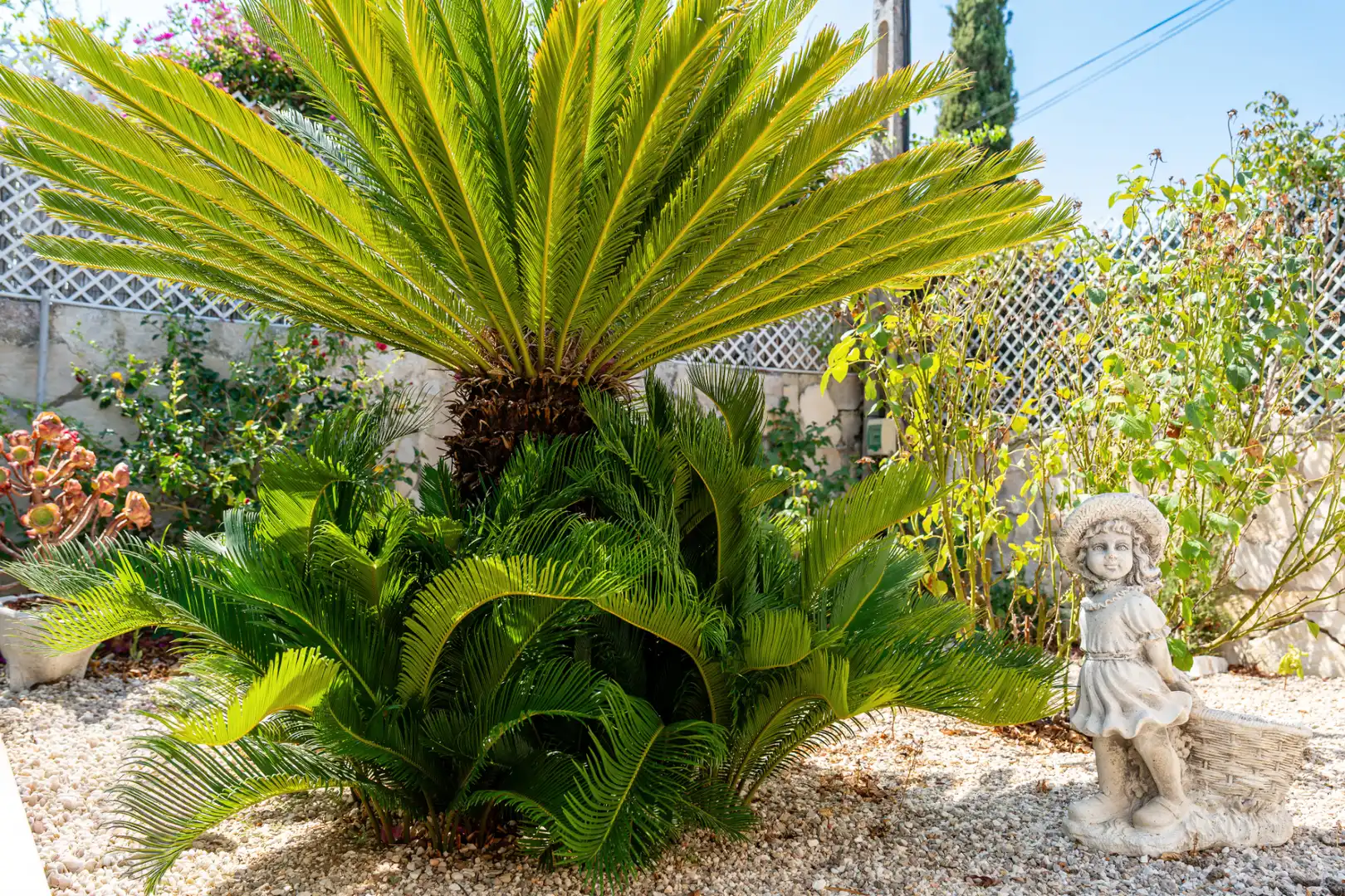 Maison avec piscine à vendre à Muro, imagen 29