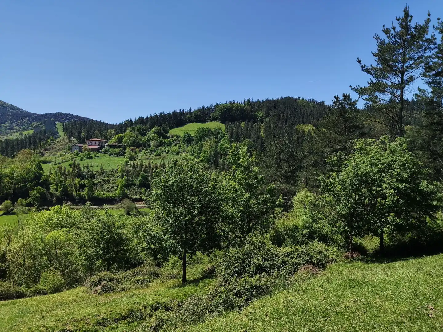 Finca rústica en venta en Ayala / Aiara