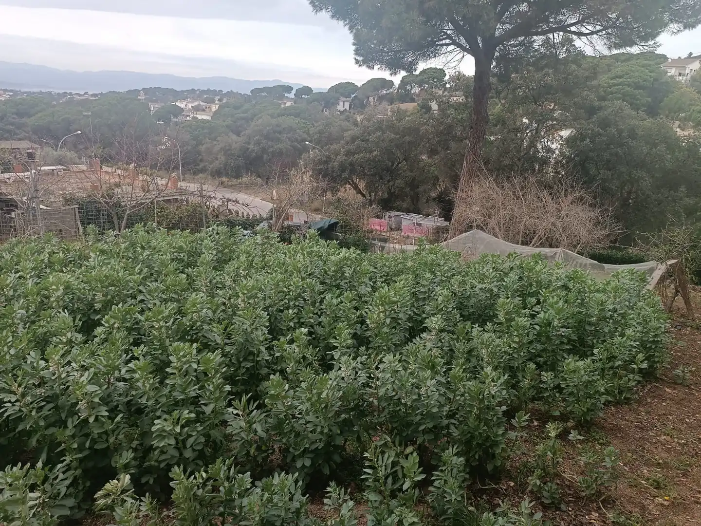 Terreno residencial en venta en Lloret Residencial - Montlloret, imagen 13