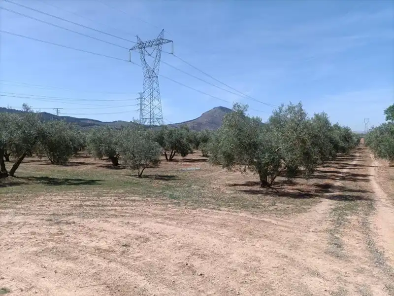 Terrenys i solars en venda a Albolote, imagen 5