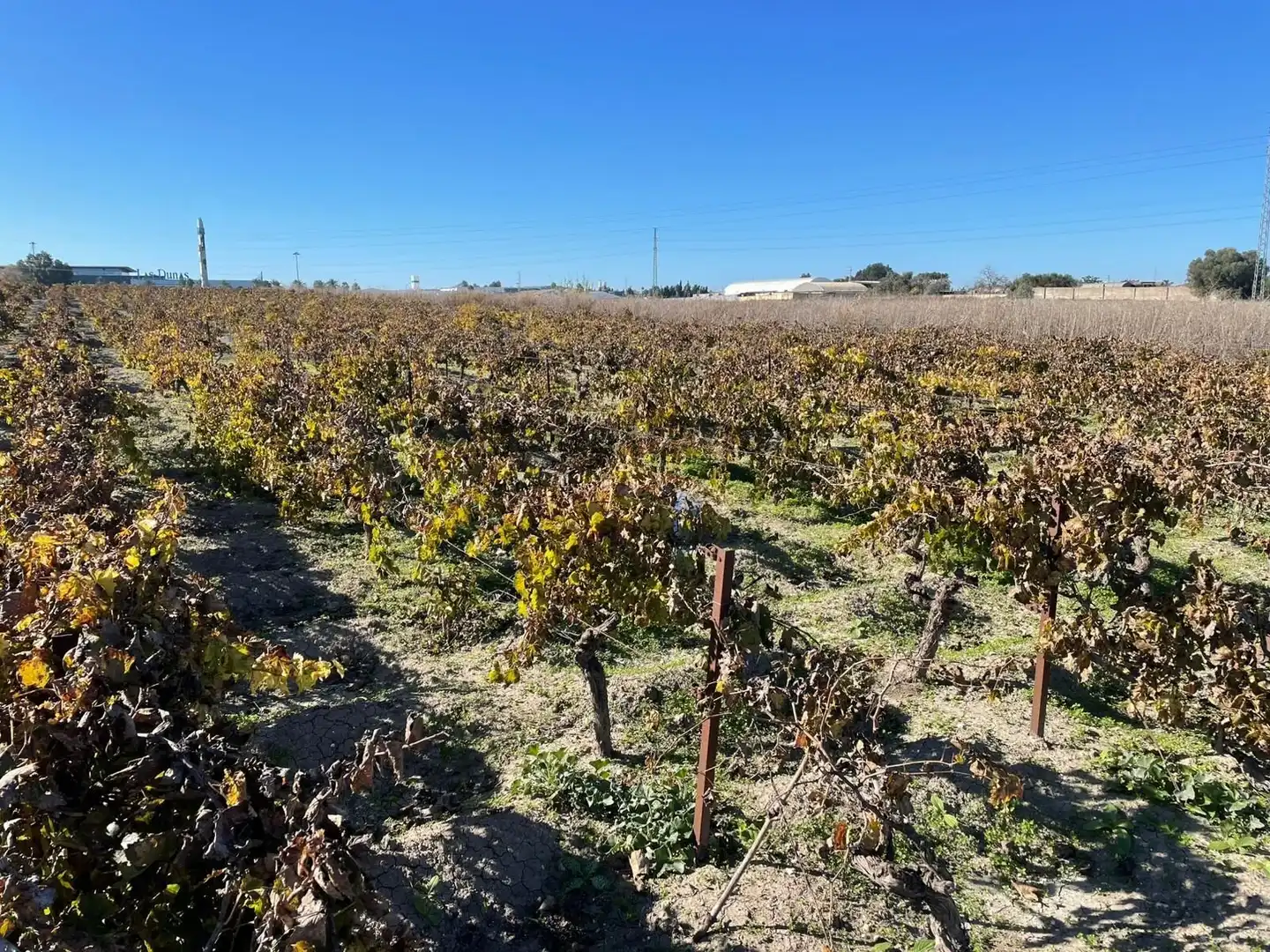 Rustikales Grundstück zum Verkauf in Centro - Calzada - Cabo Noval