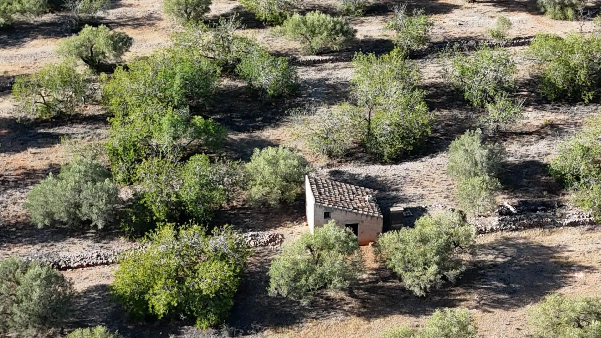 Finca rústica en venta en L'Ametlla de Mar 