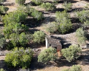 Finca rústica en venda en L'Ametlla de Mar 