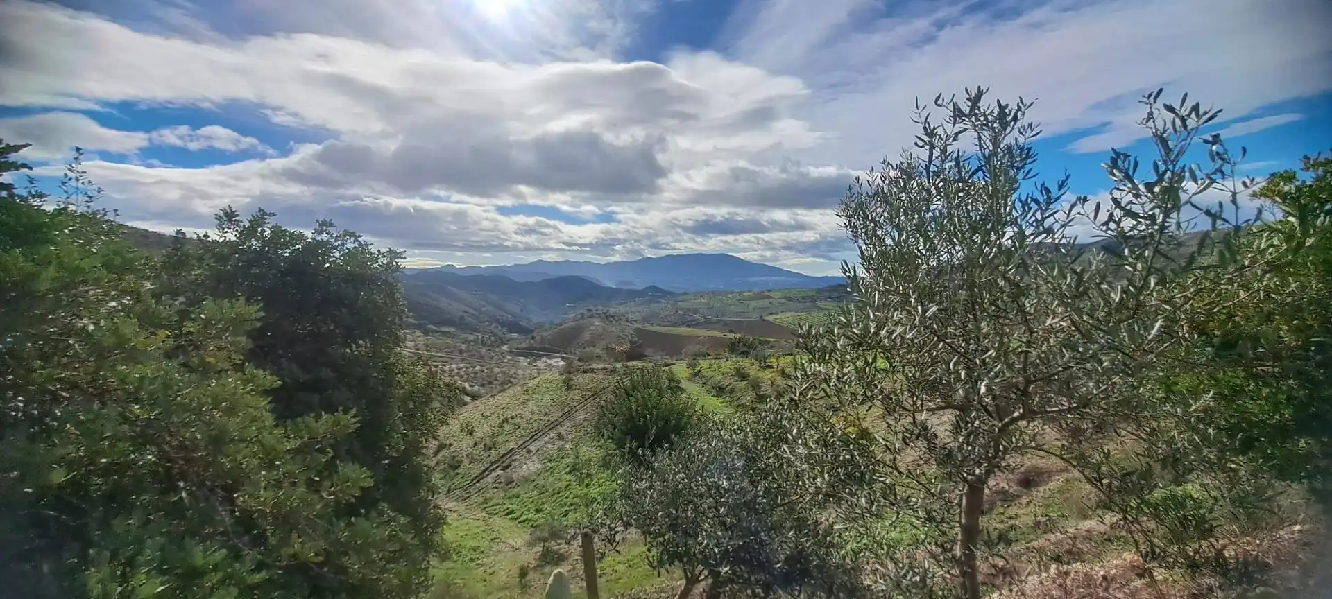 Residencial en venta en Cártama
