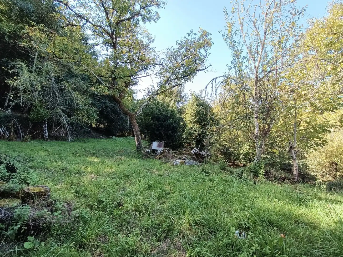 Casa o xalet en venda en Padrenda