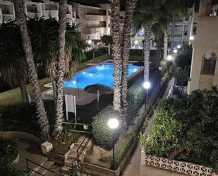 Swimming pool of House or chalet to rent in Torrevieja  with Terrace and Balcony