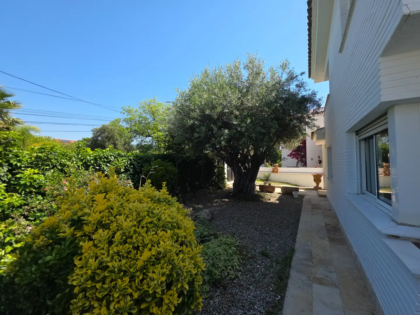Jardín de Casa o chalet en venta en El Masnou con Calefacción, Jardín privado y Parquet