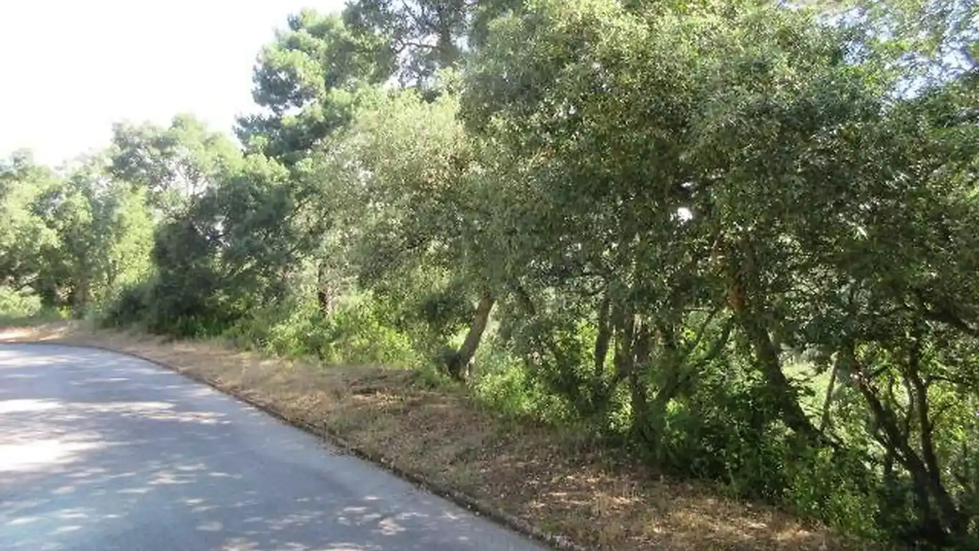 Casa o chalet en venta en El Molí - El Rieral