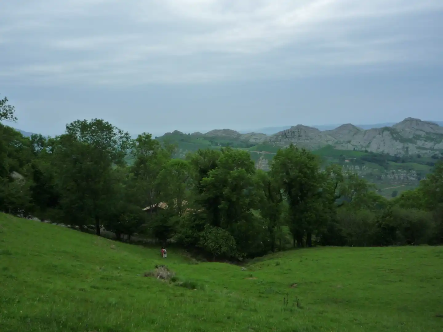 Terreno rustico in vendita a Liérganes, imagen 9