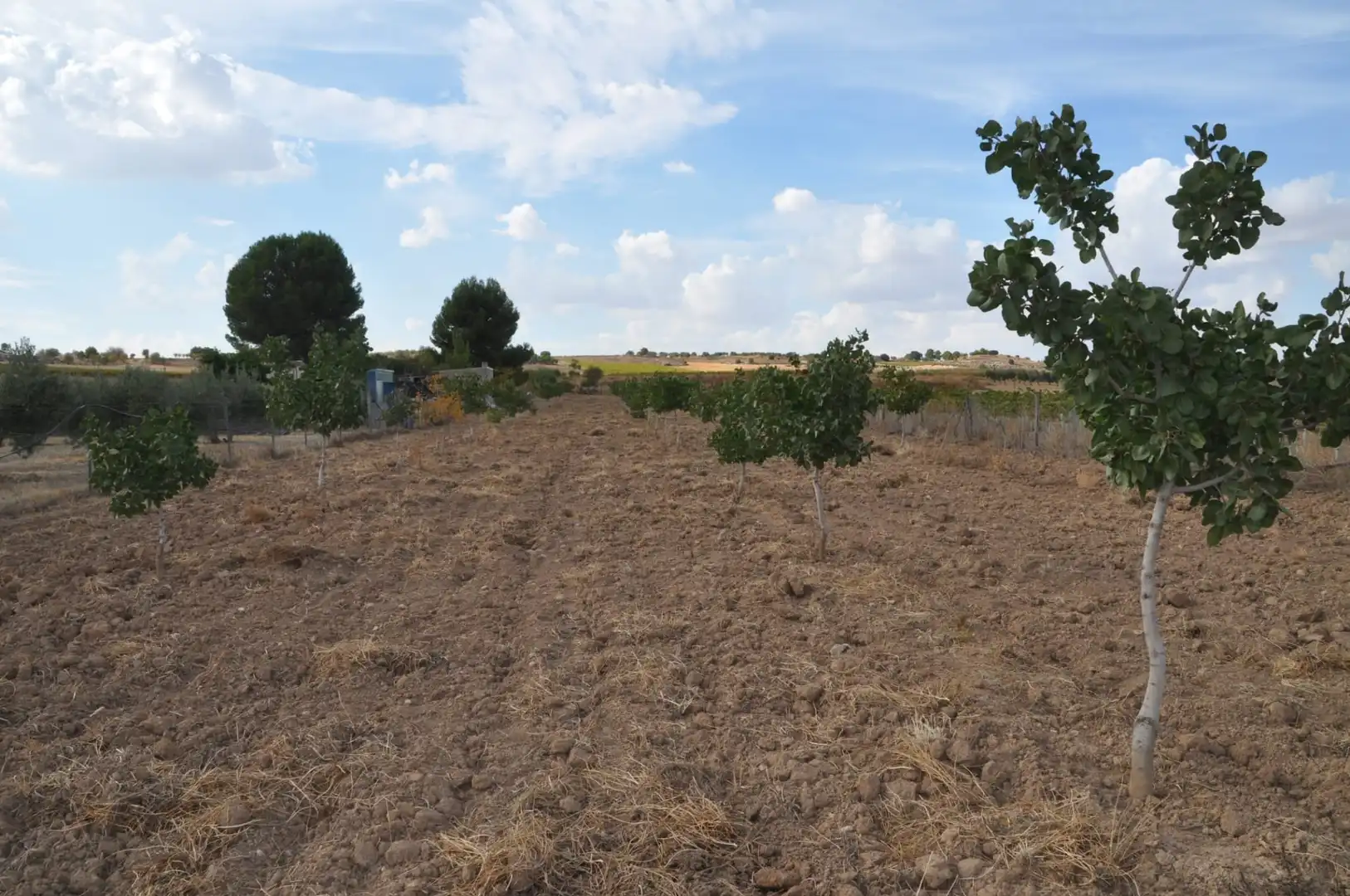 Residential for sale in Villanueva de Alcardete