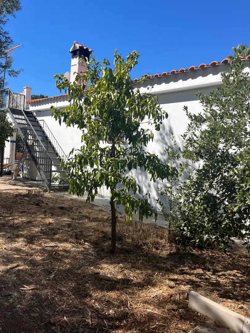 Xalet amb jardí de lloguer a Buenavista - Lauro Golf, imagen 34