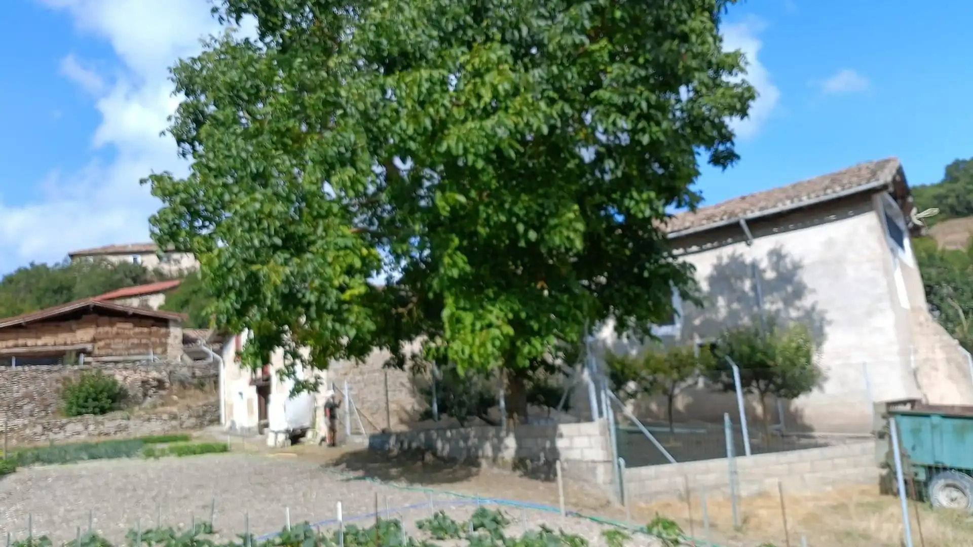 Garden of Houses for sale in Junta de Villalba de Losa  with Private garden