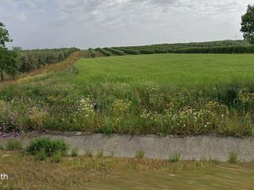 Rustikales Grundstück zum Verkauf in Montellano