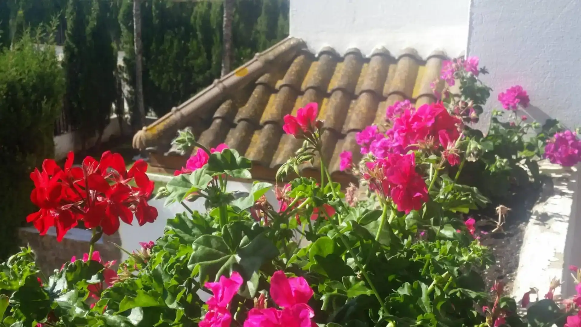Jardí de Casa adosada de lloguer en Corinto - Almarda