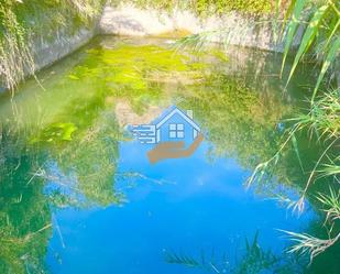 Swimming pool of Residential for sale in Vélez-Blanco