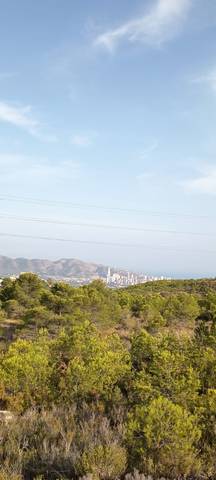 Terreno en Venta en Coloma