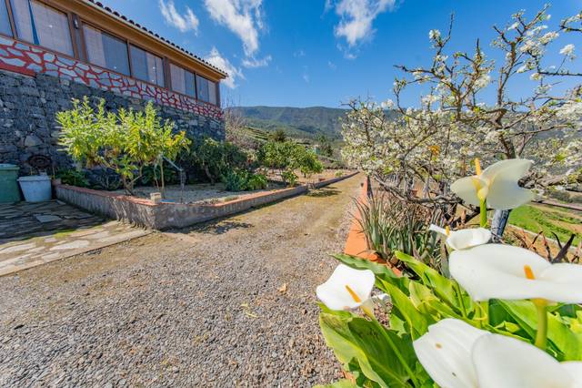Casa-chalet en Venta en Calle Hoya Pablo en La Guancha