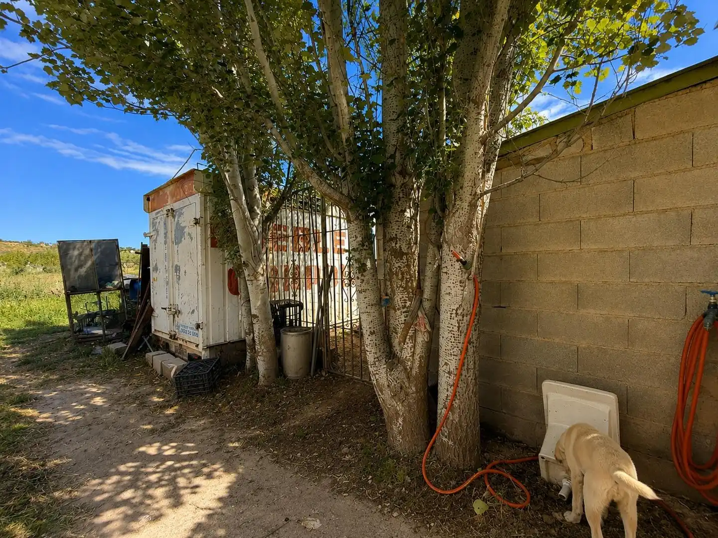 Finca rústica en venta en Monachil pueblo
