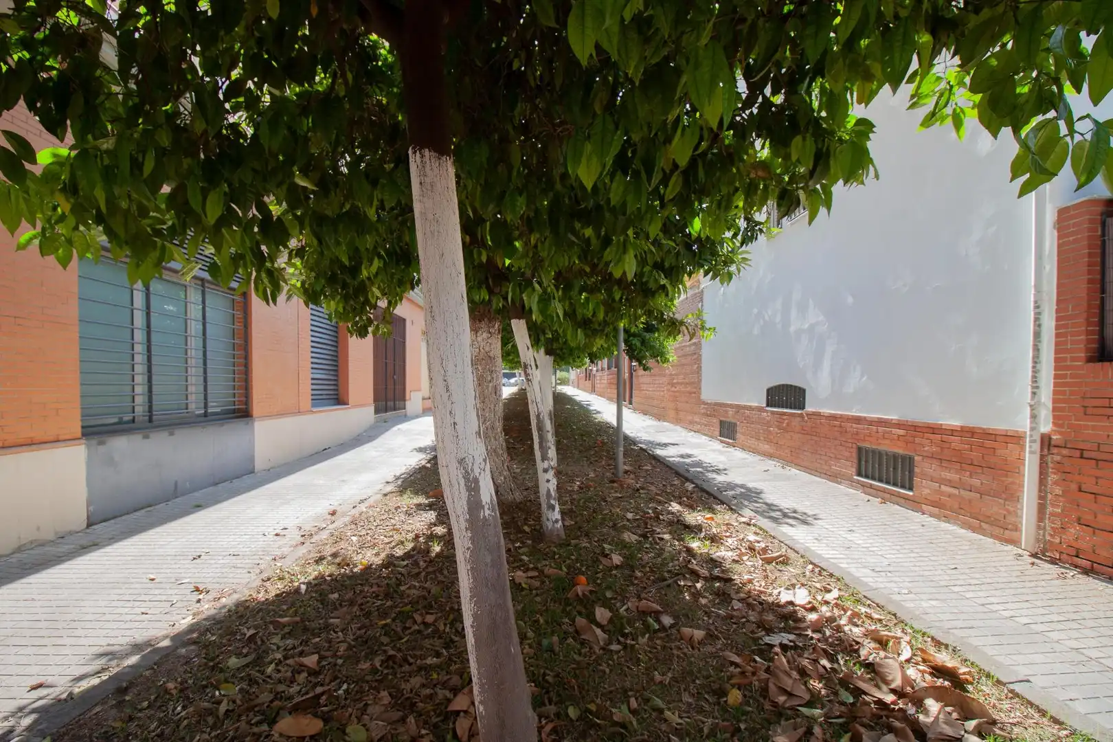 Vista exterior de Local en venta en Sevilla