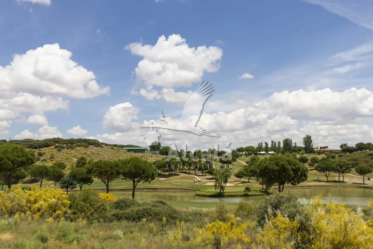 Terreny rústic en venda a Cabanillas del Campo, imagen 27