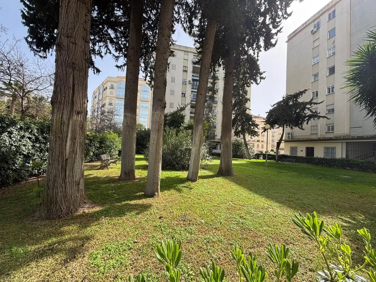 Flat with lift for sale in Avenida - Divina Pastora - Plaza de Toros, imagen 5
