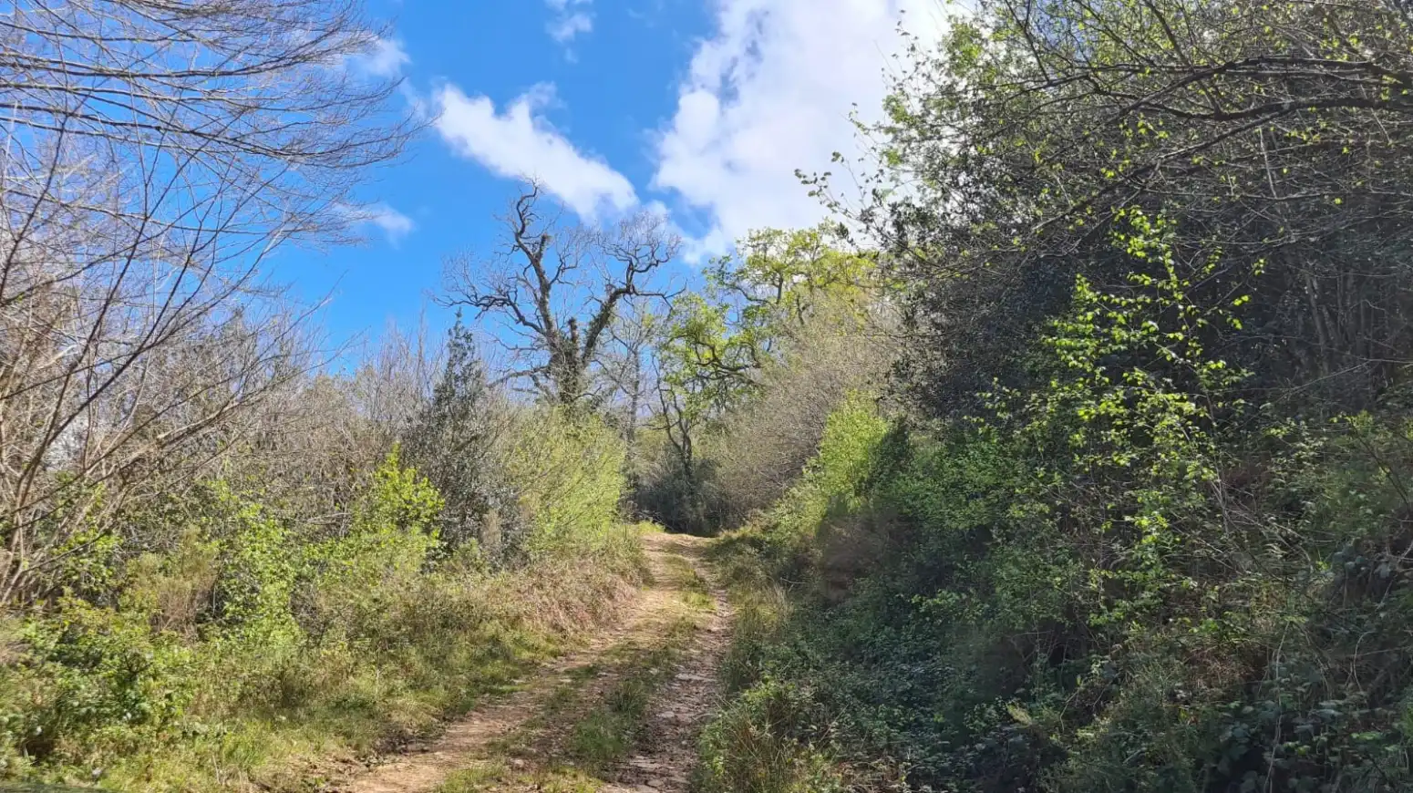 Casa o xalet en venda en Rionansa amb Jardí privat
