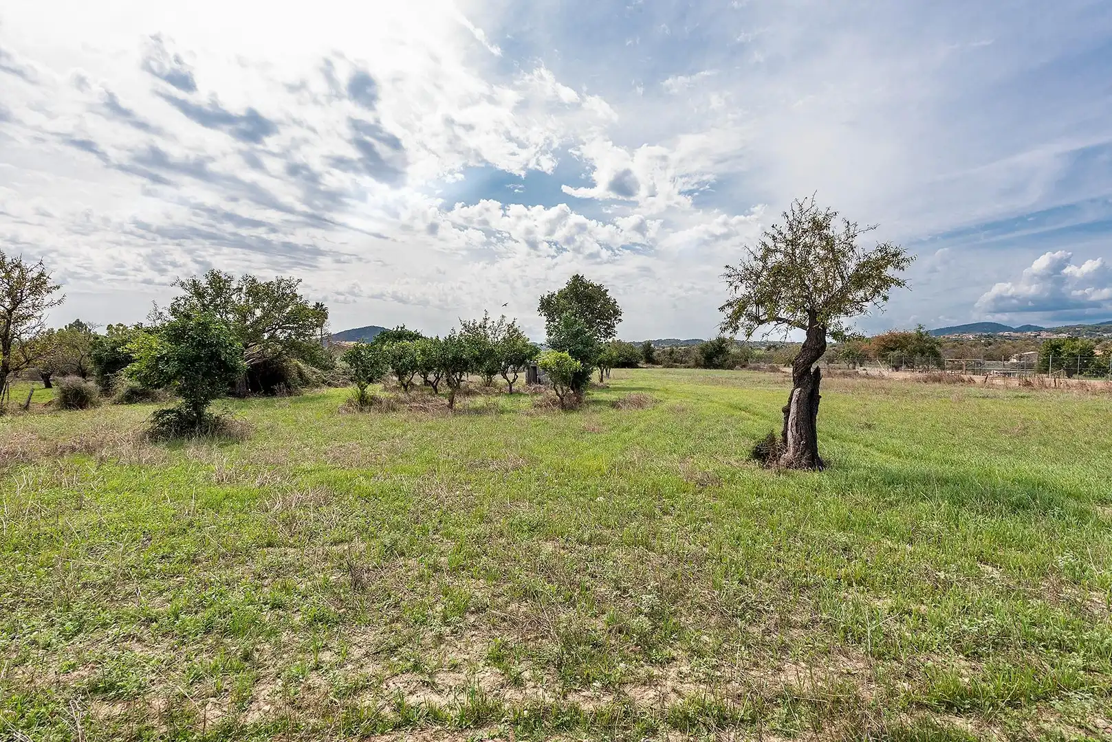 Country homes for sale in Campanet  with Private garden