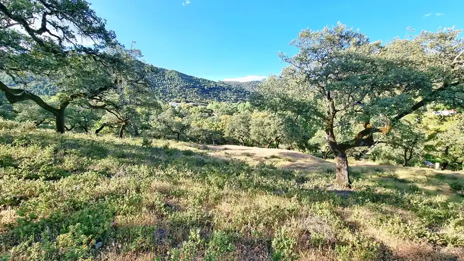 Terreni e lotti in vendita a Linares de la Sierra, imagen 10