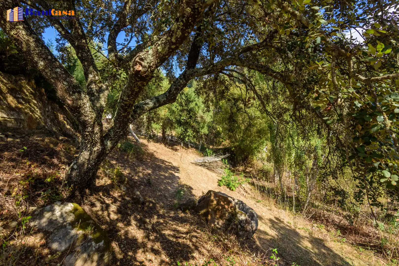 Casa o xalet en venda en Cortes de la Frontera amb Calefacció, Jardí privat i Moblat