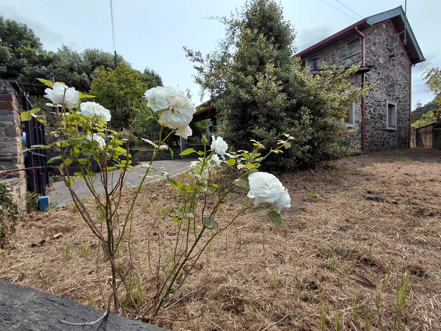 Jardín de Casa o chalet en venta en Betanzos con Calefacción, Jardín privado y Trastero